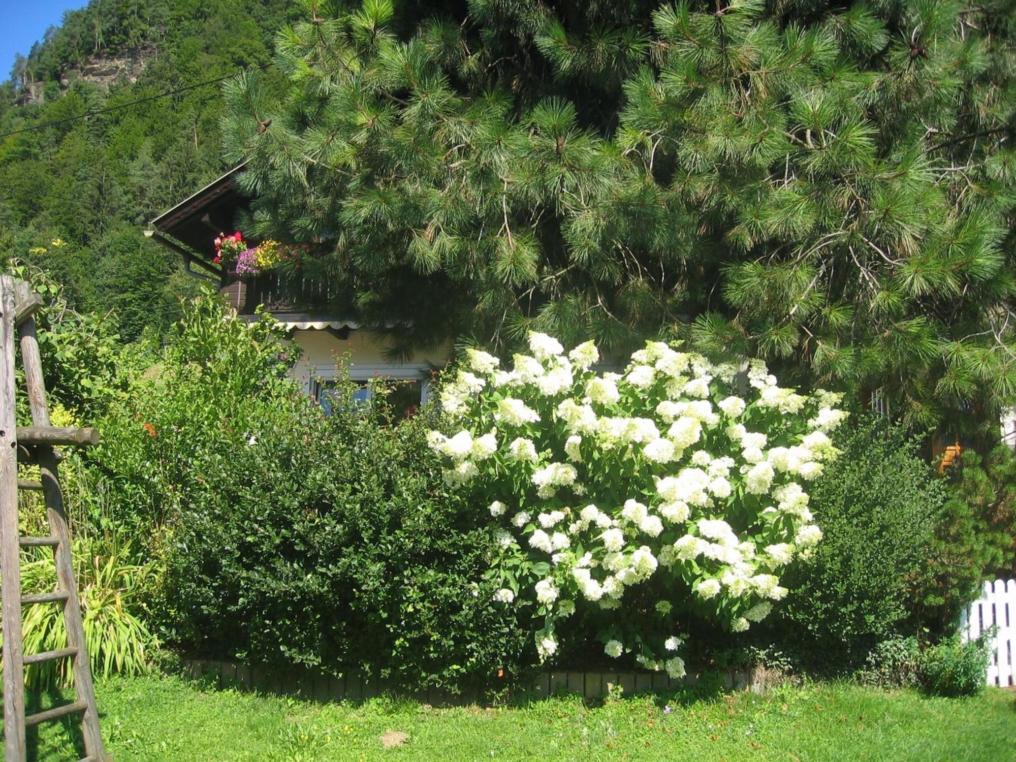 Pension Wolf Steindorf am Ossiacher See Extérieur photo